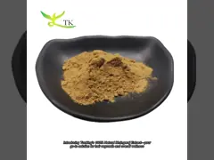 100% Extracto de Eucommia Ulmoides Natural em Pó Extracto de Eucommia Folhas