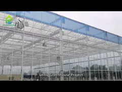 OEM ODM 4mm 5mm Glass Tomato Farming Greenhouse With Cooling System