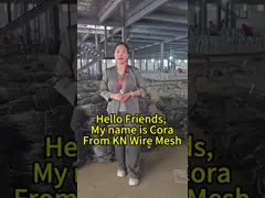 China Spiral Barbed Wire Defensive Galvanized Barbed Wire Installation Security Fence supplier