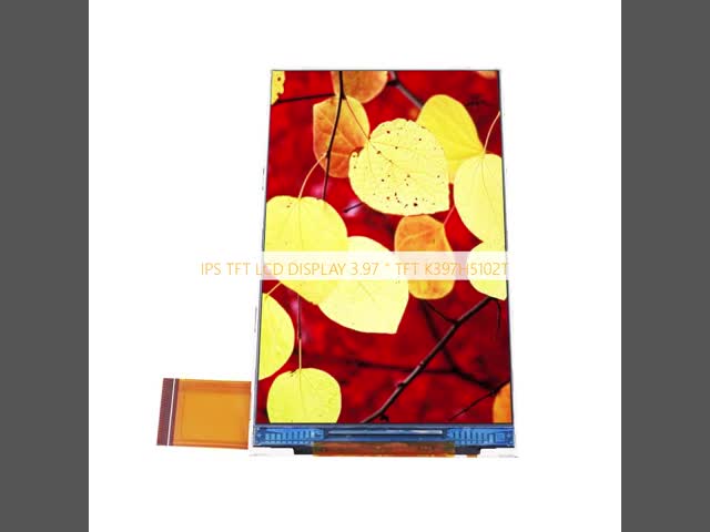 Anti Glare IPS TFT LCD Display Screen 3.97