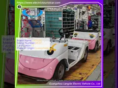 Porta chiusa 6 posti auto pattuglia elettrica 18% capacità di arrampicata carico 48V/4KW DO MOTORE auto elettrica