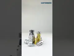 China Close Type Pneumatic Quick Coupling Brass Pneumatic Quick Disconnect supplier