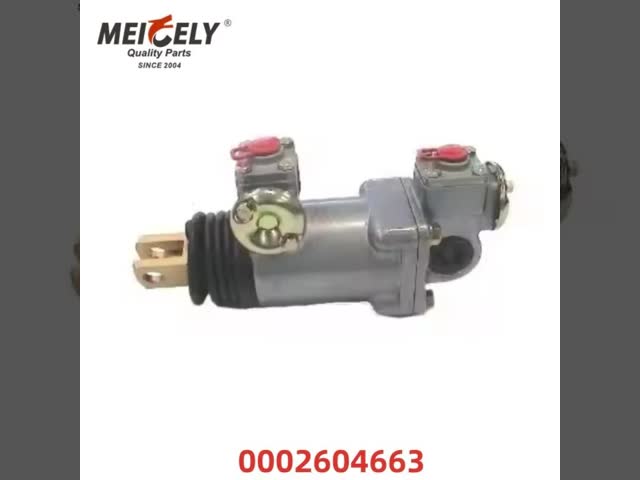 トラック部品 ギアボックスバルブ OEM 0002604663 4220100120 DAF / RENAULT / MERCEDES用