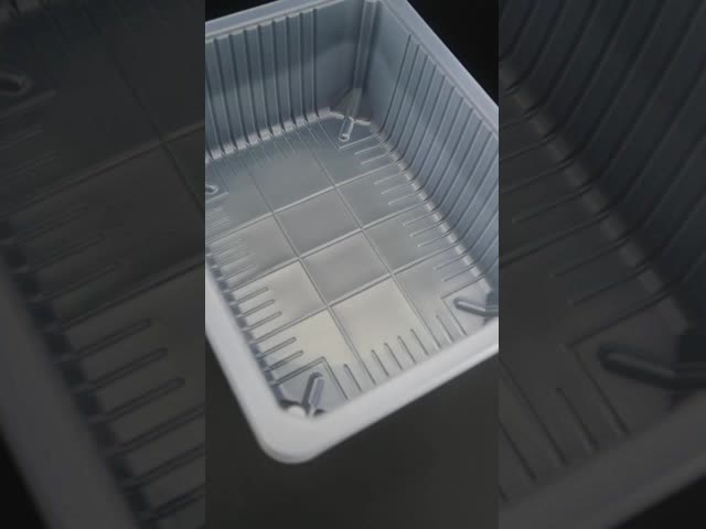 Food Grade PP Plastic Thermoformed Trays for Vegetables Herbs