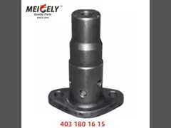 Drukverlagend klep 4031801615 Oliepomp voor bedrijfsvoertuigen voor Mercedes-Benz