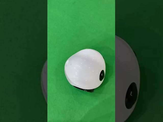 HD Resolution IP67 Pet Monitoring Cameras Wireless Long Lasting Security Camera