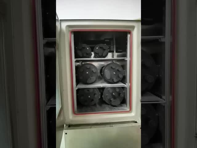 24 cores Dome Fiber Optic Splice Closure with 2 In 2 Out Ports and IP68 Environmental Protection