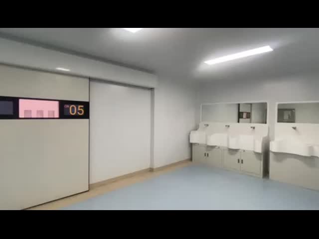 50mm de chapa de aço inoxidável feita à mão portas de sala limpa personalizado