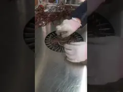 スターター・アーマチュア・コイル・ヘアピン video