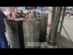 3 Phase Francis Hydro Turbine Generator with Brushless Excitation Vertical and Horizental Installation Type