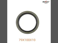 High Performance 79X100X10 Wheel Hub Oil Seal Os Voor Scania