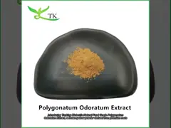 مستخلص Lonicera Japonica الطبيعي مسحوق مستخلص Lonicera japonica الزهرة السعر