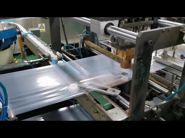 5L 10L 20L Bag in Box Food Grade Transparent Aseptic Plastic Wine Juice Packaging with Faucet Cap and Carton Container BIB Bag