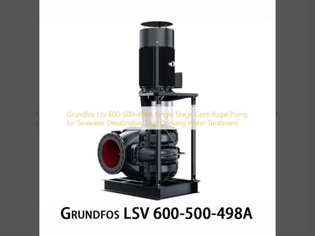 Grundfos Lsv 600-500-498A 海水淡水化および飲料水処理用単段遠心ポンプ