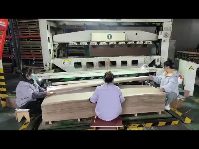 バーチカラー 0.4mm 2500*640mm サイズ 家具グレード エンジニアードウッドベニヤ