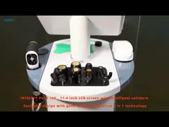 GOMECY Shockwave Physiotherapy Equipment for Pain Relief 13 Shock Heads and 0-21 Hz Work Frequency