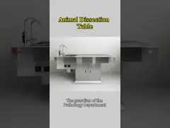 Automatic Cleaning Odorless 304 Stainless Steel Negative Pressure Dissection Table