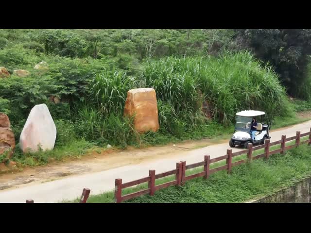 2 Passengers Electric Golf Buggy With 30% Climbing Capacity And 35KM/H Speed