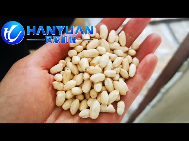 Puffed Rice Making Machine video