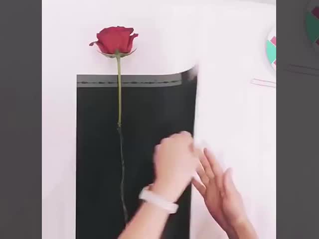 母の日 単一の花の包装紙 単一のバラ束の包装袋 カナリアの花の包装紙 単一の袋