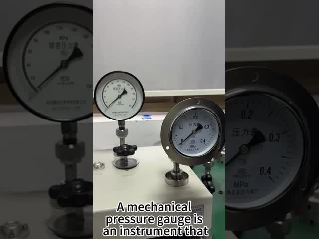 ワイカ・ブルドンチューブ圧力計 SS316 232.50 圧力計 0-1000 Psi OBM サポート