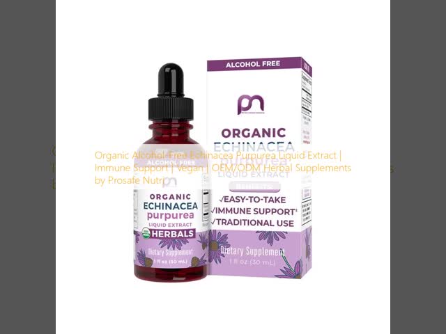 Organic Echinacea Purpurea Liquid Drops Alcohol Free Immune Support Vegan Herbal Supplements