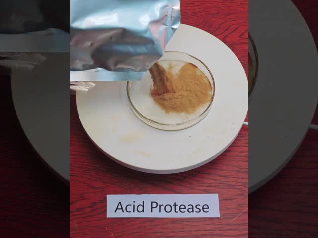 50000U/G-200000U/G 酸性プロテアース 食品発酵 発酵サイクル短縮