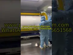 150micron Pet Transparent Release Film Silicone Coated Waterproof Clear