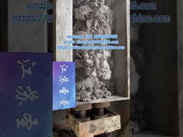 25kg/h 工業用乾燥用用用シャフト付きホールパドルドライヤー