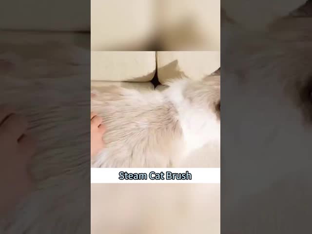 Fine Hair Pet Cleaning Tools High Speed Quick Charge Cat Grooming Brush Home Use