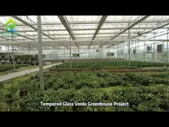 Custom Size PC Sheet Agricultural Wind Resistant Polycarbonate Tomato Greenhouse video