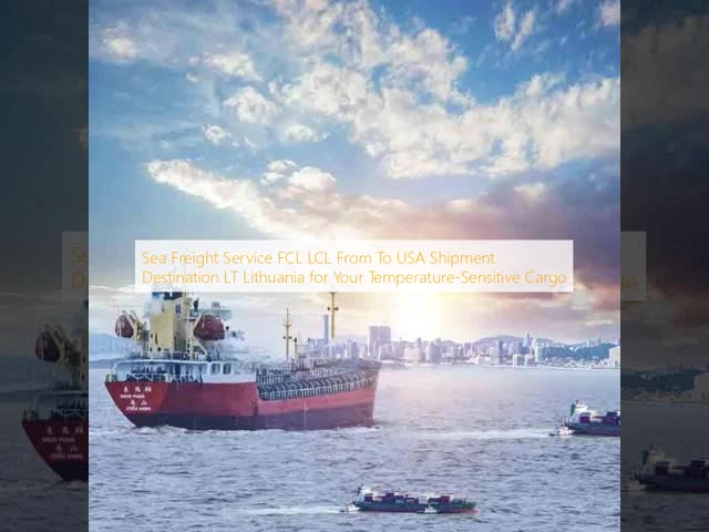 海上貨物運送サービス FCL LCL From To USA 運送目的地 LT リトアニア 温度に敏感な貨物