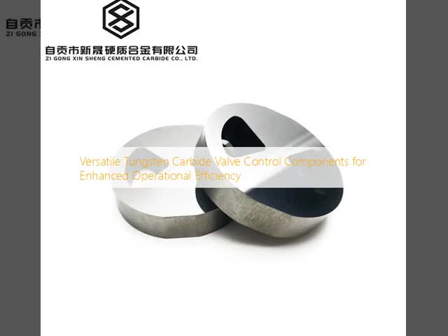 Versatile Tungsten Carbide Valve Control Components For Enhanced Operational Efficiency