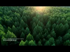 Wood Grain Decorative Paper for Melamine Impregnation and Lamination