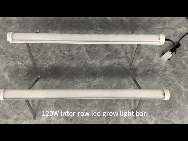 Factory Custom IP66 Full Spectrum Hydroponic Lamp LED Grow Light Bar Under Canopy 120W