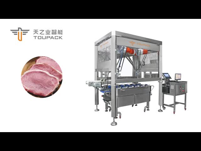 ISOは12ベルトIP65の果物と野菜の包装機械野菜計重機を証明した