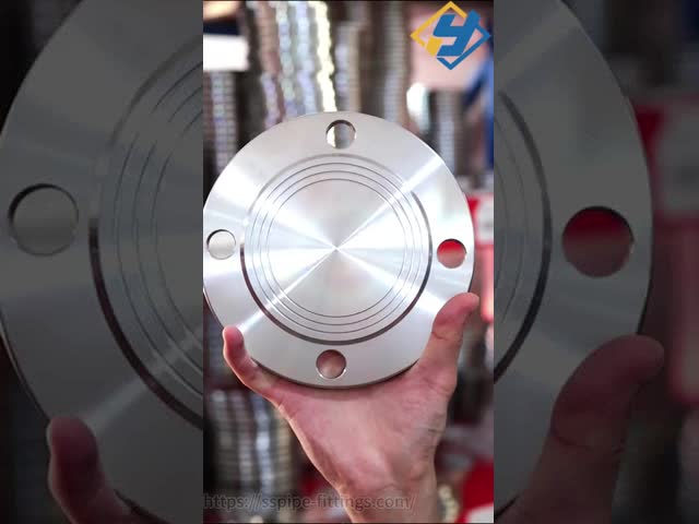 ASTM ASME 304L ステンレス鋼のフレンズ ブラインドフレンズ 1/2インチから24インチ