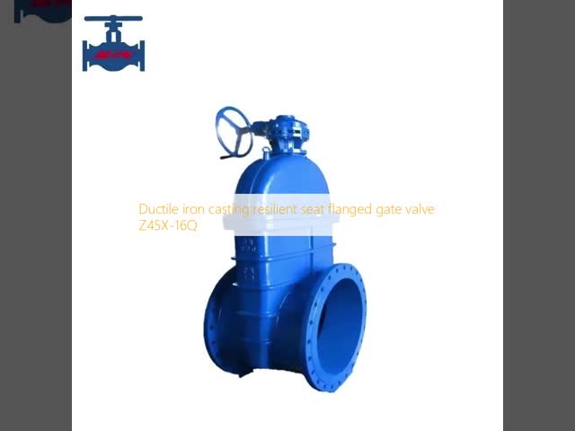 General Application Excellent Sealing Ductile Iron Gate Valve with Brass Trim Material 18 Months