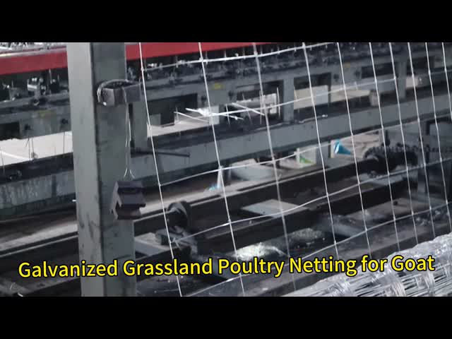 Galvanized Fixed Knot Fence Grassland Cattle Sheep Farm Fence Wire Mesh