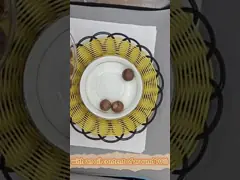 Delicious Natural Macadamia Nuts From In Plastic Bag