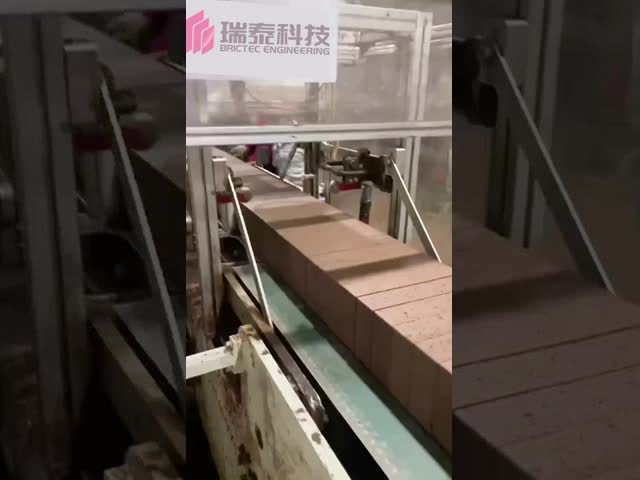 Clay Brick Cutter Twin-Screw Frame Wire-Cutting Machine With VFD Adjustable