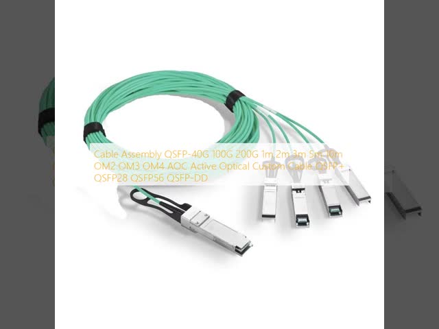 Cable Assembly Ultra-Fast Custom Cable Assembly 200G QSFP-DD Copper DACwire Harness Manufacturer  For Low Power, QSFP-40G High Density Data Transmission
