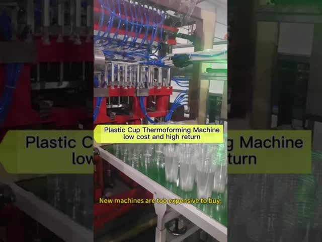 操作しやすい使い捨てプラスチックカップ製造機械