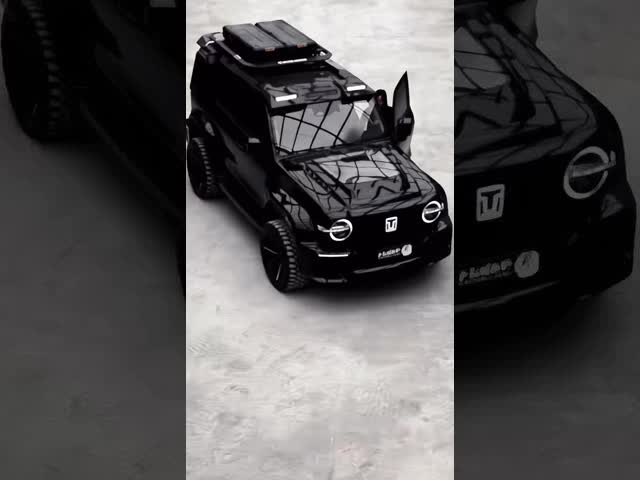 Competitive 5 Seat 5 Door 3.0T Tank 300 SUV 500Nm 265KW 360Ps 4WD New Energy Hybrid EV Gasoline Petrol Fuel New Car