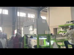 Professional Peanut Color Sorter Peeling Peanuts CCD Color Sorting Machine