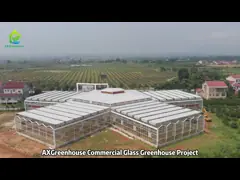 H2.2m To 5.5m PC Sheet Greenhouse Double Wall Polycarbonate Greenhouse