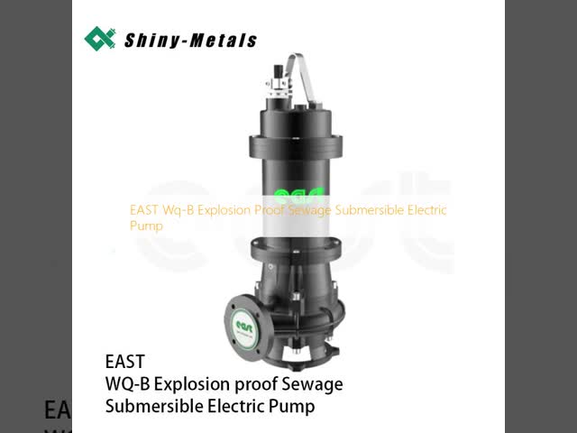 EAST Wq-B 防爆 下水式電動ポンプ