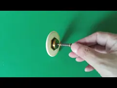 Pin della valvola del riscaldatore d'acqua a gas 14 mm x 42 mm per la sostituzione di elettrodomestici