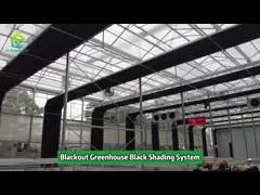 Agricultural Tunnel Fully Automated Light Deprivation Greenhouse Single span Blackout Greenhouse