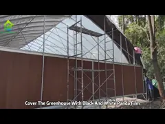Easily Assembled Transparent PC Sheet Greenhouse with Customizable Size and Hot Galvanized Steel Frame